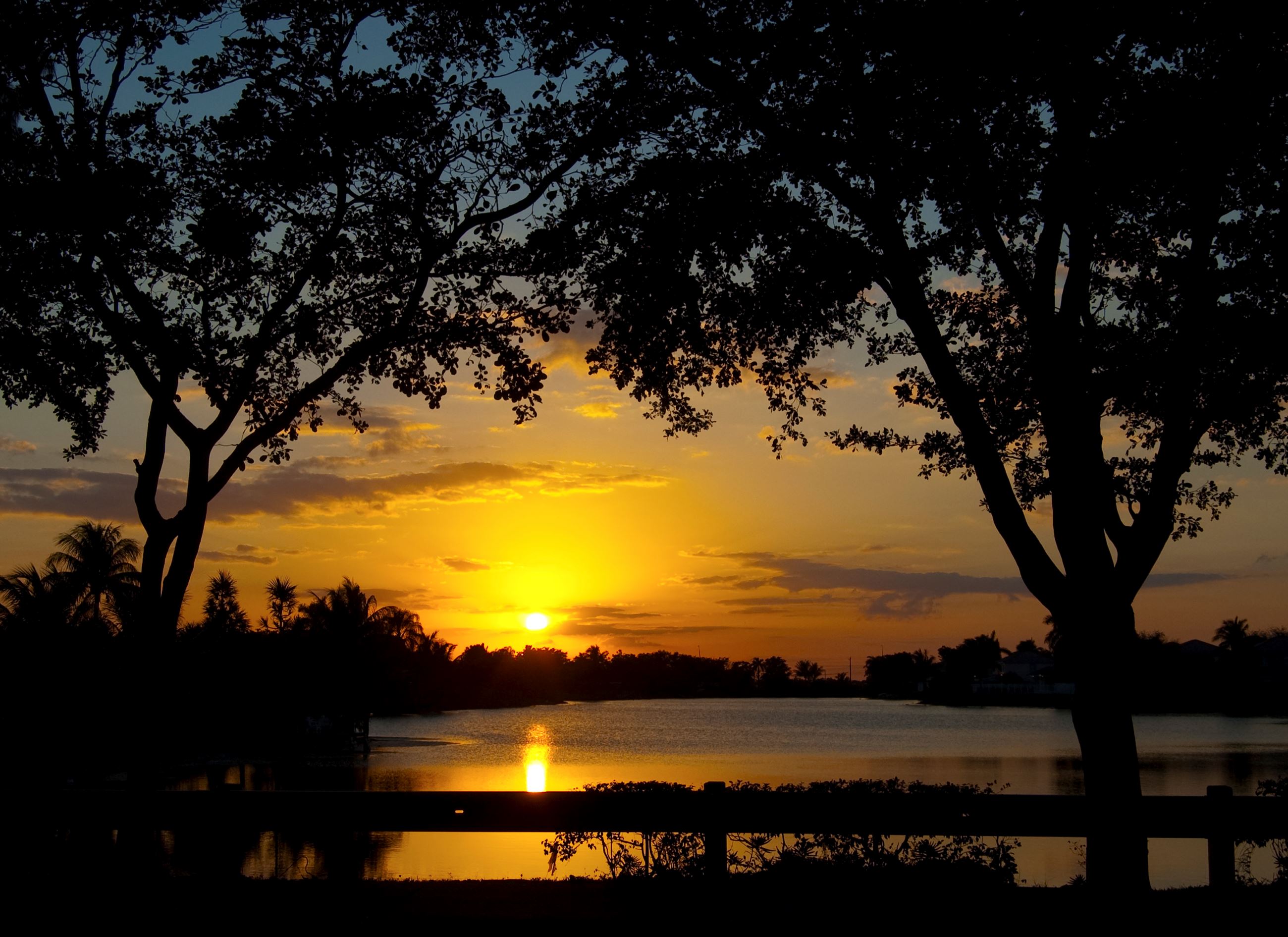 Sunset at Tanglewood Lake